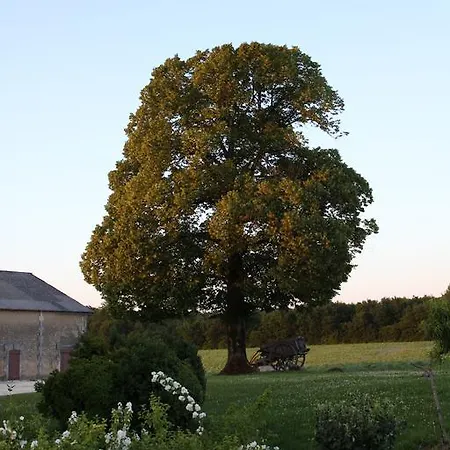 Chambres D'hotes De L'epine Bed & Breakfast 3*